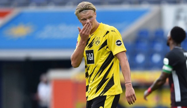 更像是森林 更像是森林